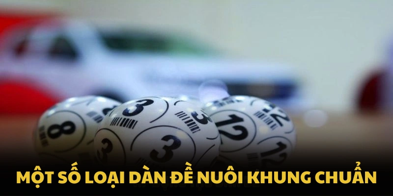 Một số loại dàn đề nuôi khung chuẩn