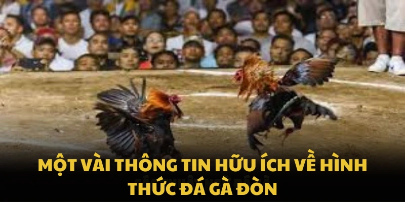 Một vài thông tin hữu ích về hình thức đá gà đòn