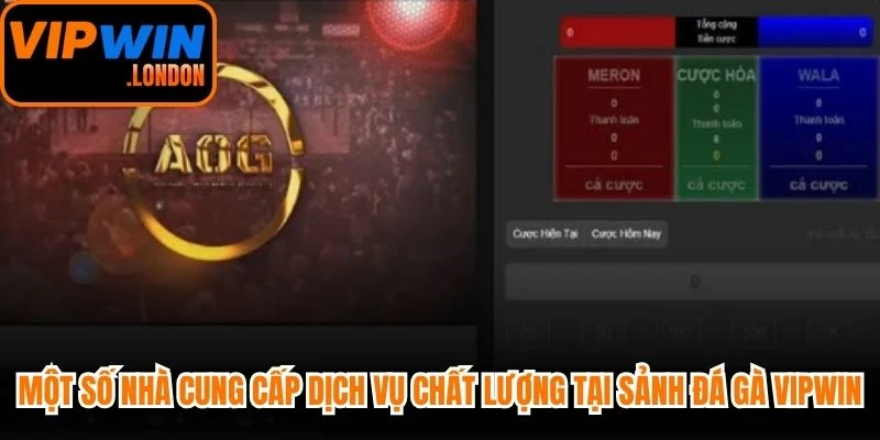 Một số nhà cung cấp dịch vụ chất lượng tại sảnh đá gà VIPWIN