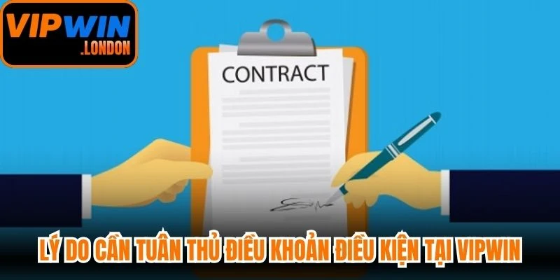 Lý do cần tuân thủ điều khoản điều kiện tại VIPWIN
