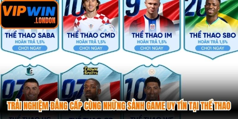 Trải nghiệm đẳng cấp cùng những sảnh game uy tín tại Thể thao VIPWIN
