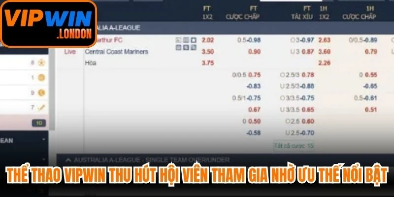 Thể thao VIPWIN thu hút đông đảo hội viên tham gia nhờ những ưu thế nổi bật